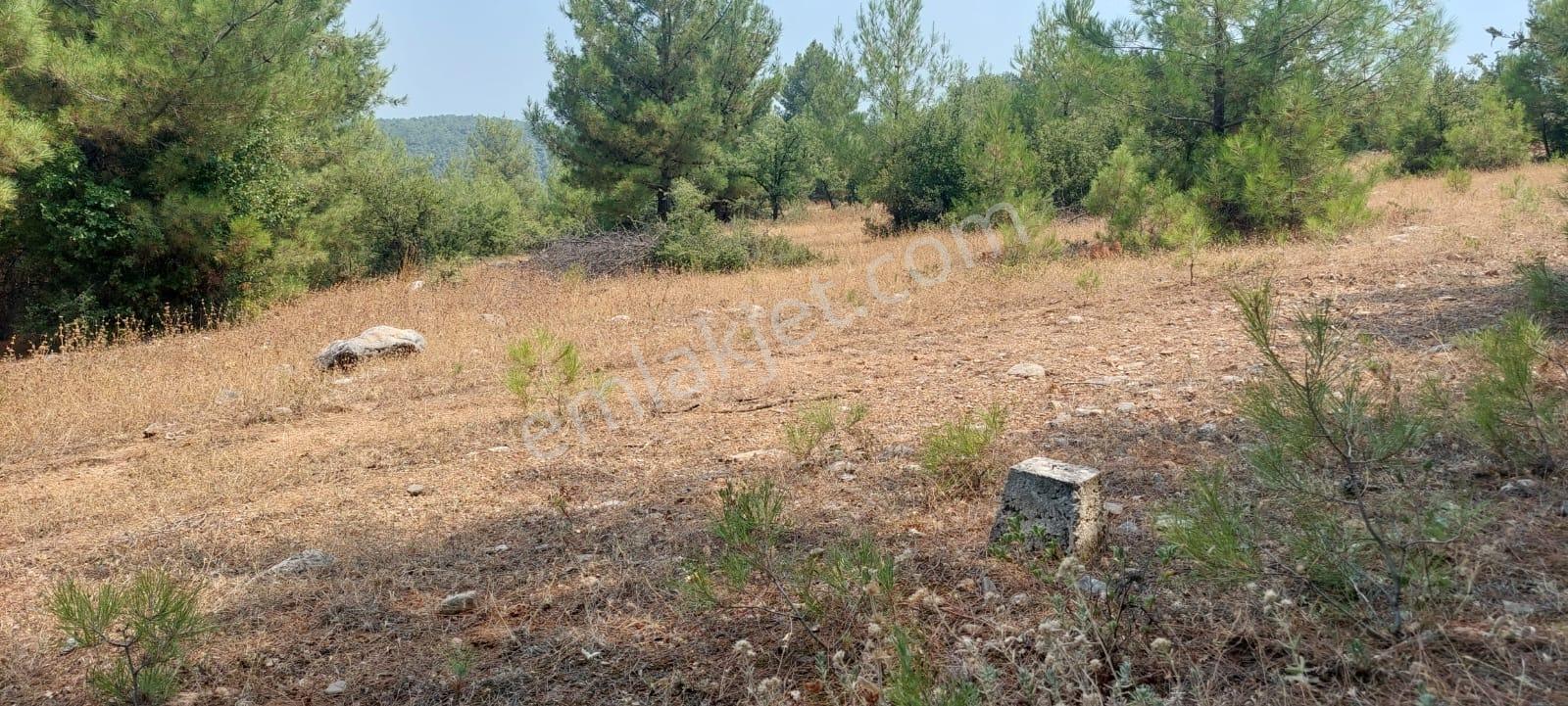 Doğayla İç İçe Yaşam İçin İdeal Satılık Villa Arsası - Görsel 33