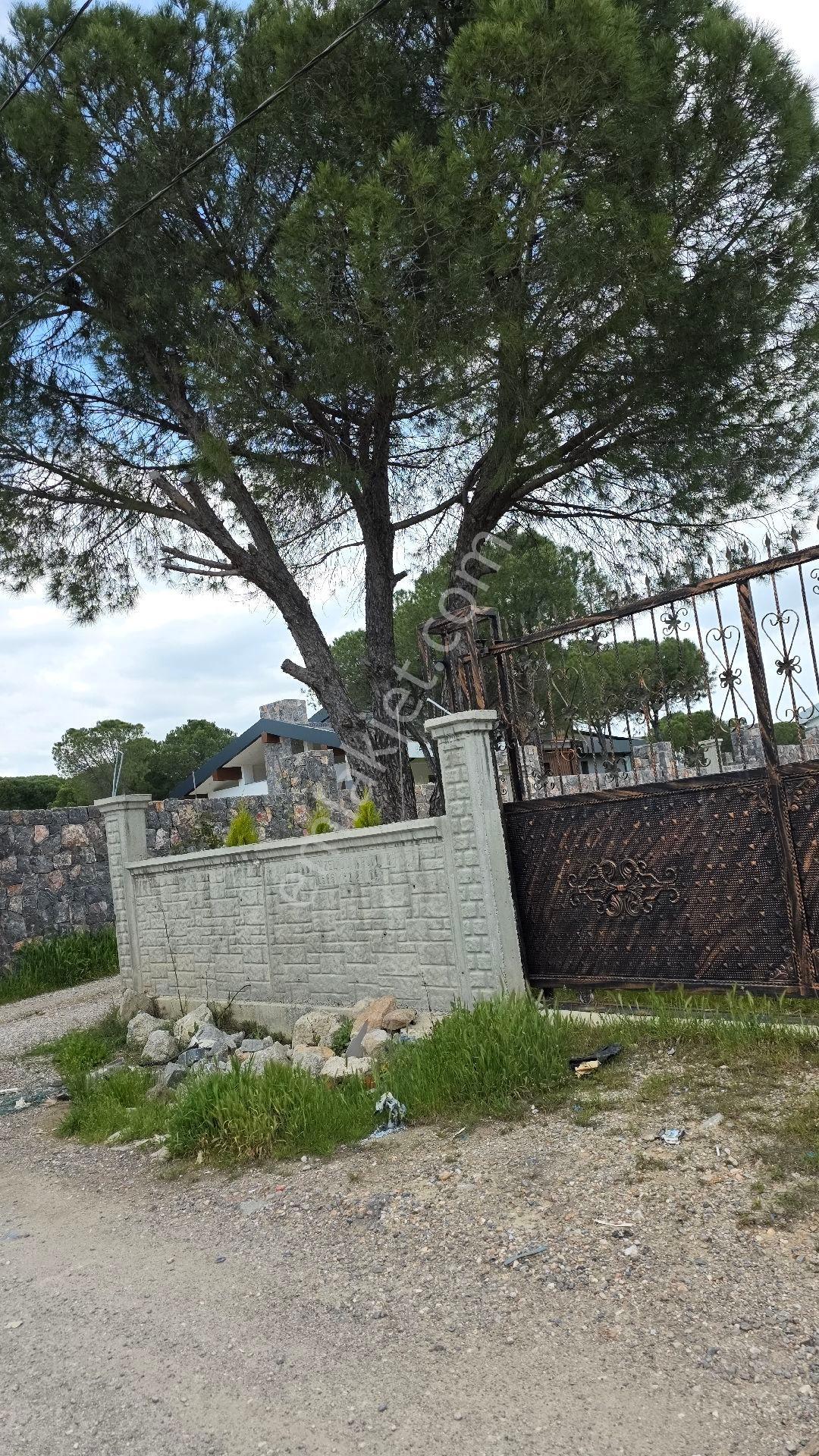 Menemende Bölgesinde 300m2 Satılık Bahçe - Görsel 4