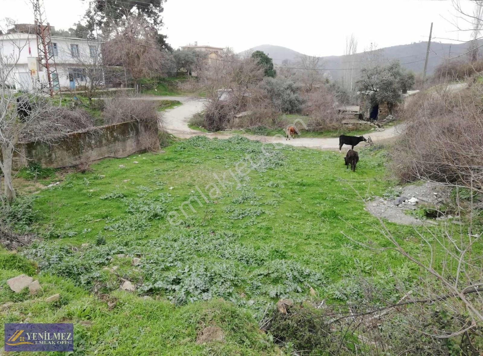 Yenilmez Emlak Tan Köy İçi İmarlı Arsa - Görsel 12