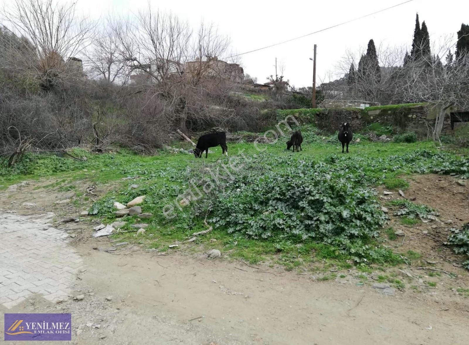 Yenilmez Emlak Tan Köy İçi İmarlı Arsa - Görsel 3