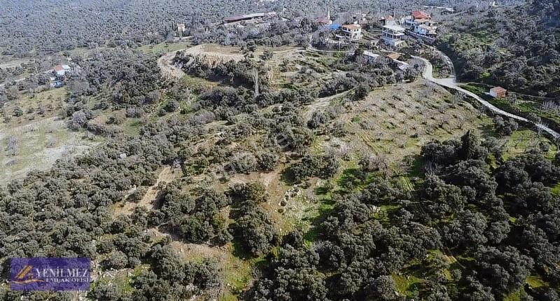 Tire Yuvalı Mevkii Satılık Zeytin Bahçesi - Görsel 2