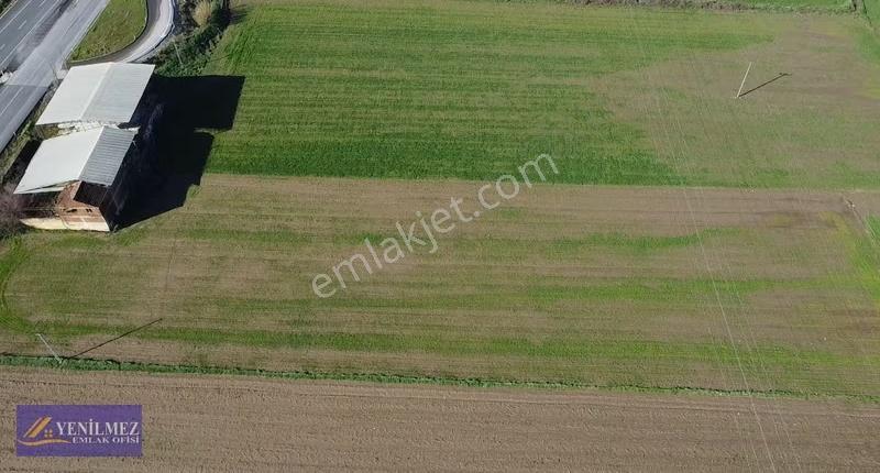 Tire Belevi Bölünmüş Yola Cepheli Satılık Tarla - Görsel 3