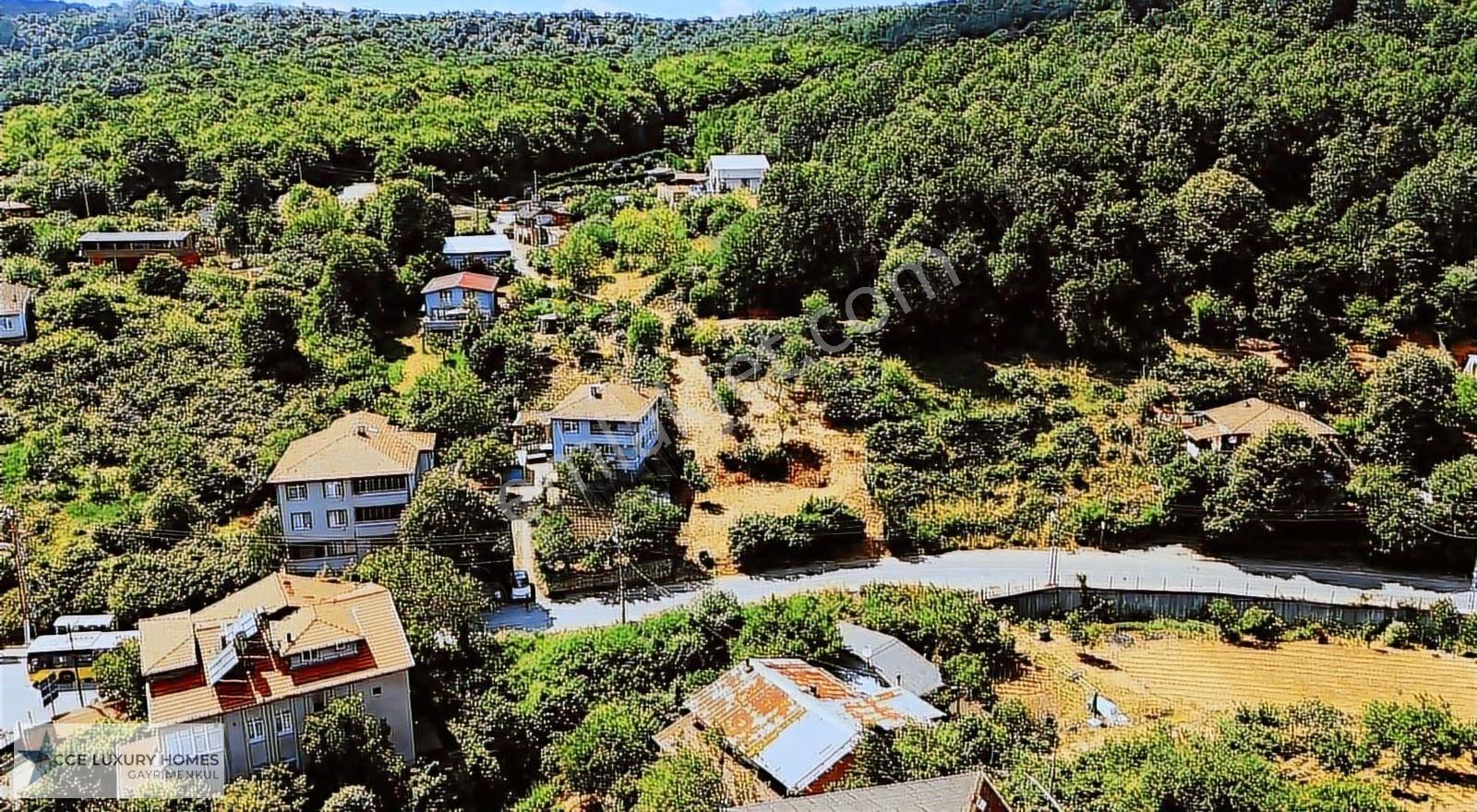 Beykoz Kaynarca'da 0.40 Emsalli 1021 M² Villa İmarlı Arsa - Görsel 3