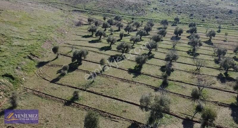 Yenilmez Emlaktan Satılık Büyük Bahçe - Görsel 16