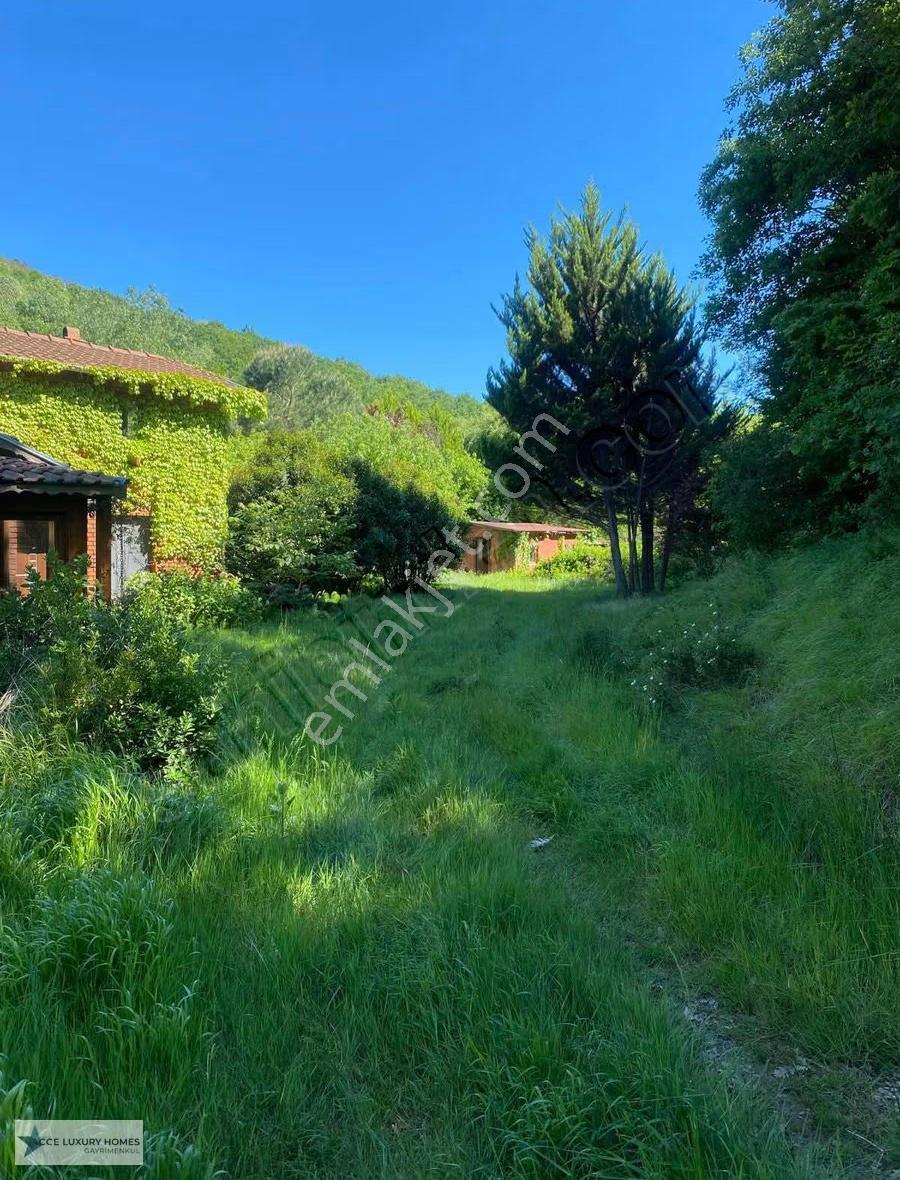 Bozhane De Satılık 3170 M2 İçerisinde Yüzme Havuzlu Villa...
