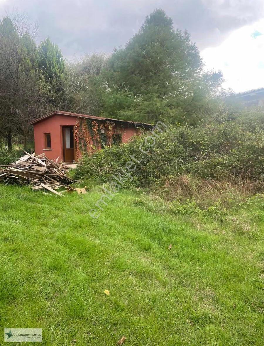 Bozhane De Satılık 3170 M2 İçerisinde Yüzme Havuzlu Villa... - Görsel 6