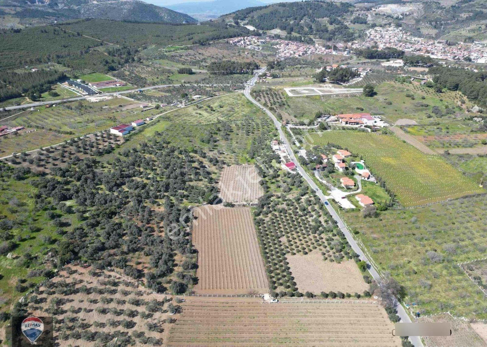 Satılık Kuşadası/çınarköy De Zeytın Ve Incır Ağacı Dıkılı Bağ-bahçe - Görsel 15