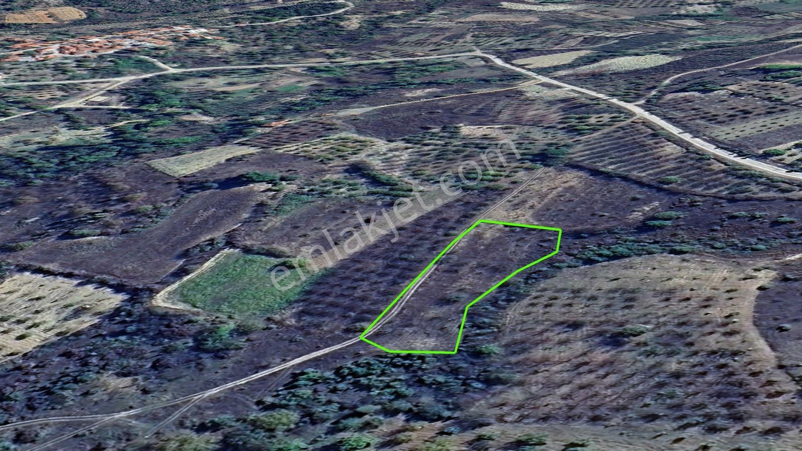 Asflat Yola Cepheli Köye 400 M 2.758 M² Kaçmaz Fırsat - Görsel 5