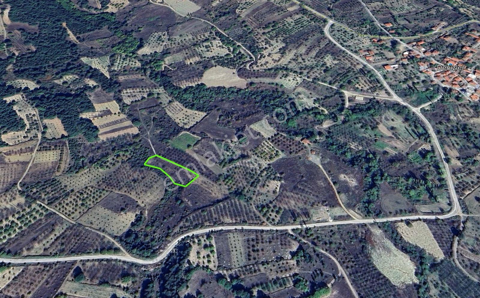 Asflat Yola Cepheli Köye 400 M 2.758 M² Kaçmaz Fırsat - Görsel 6