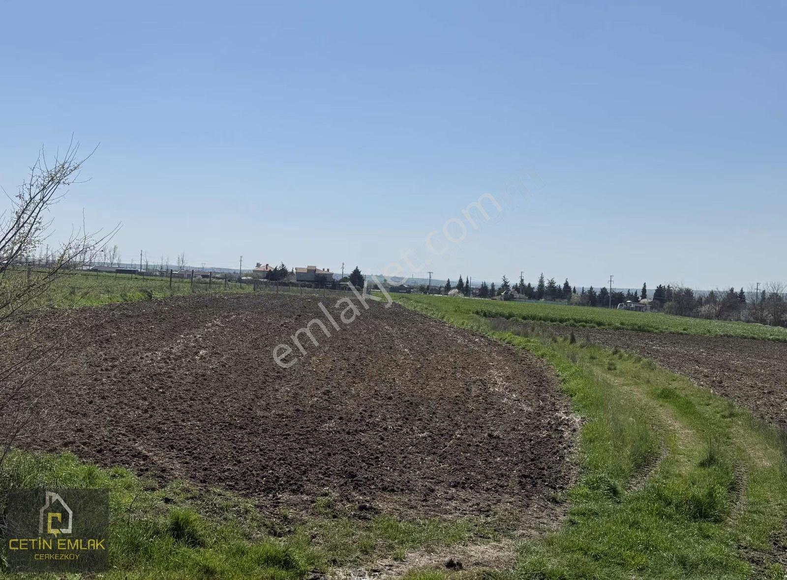 Çetin'den Çayla Mahallesi Köy Dibi İmar İçi 248m² Hisseli Tarla - Görsel 4