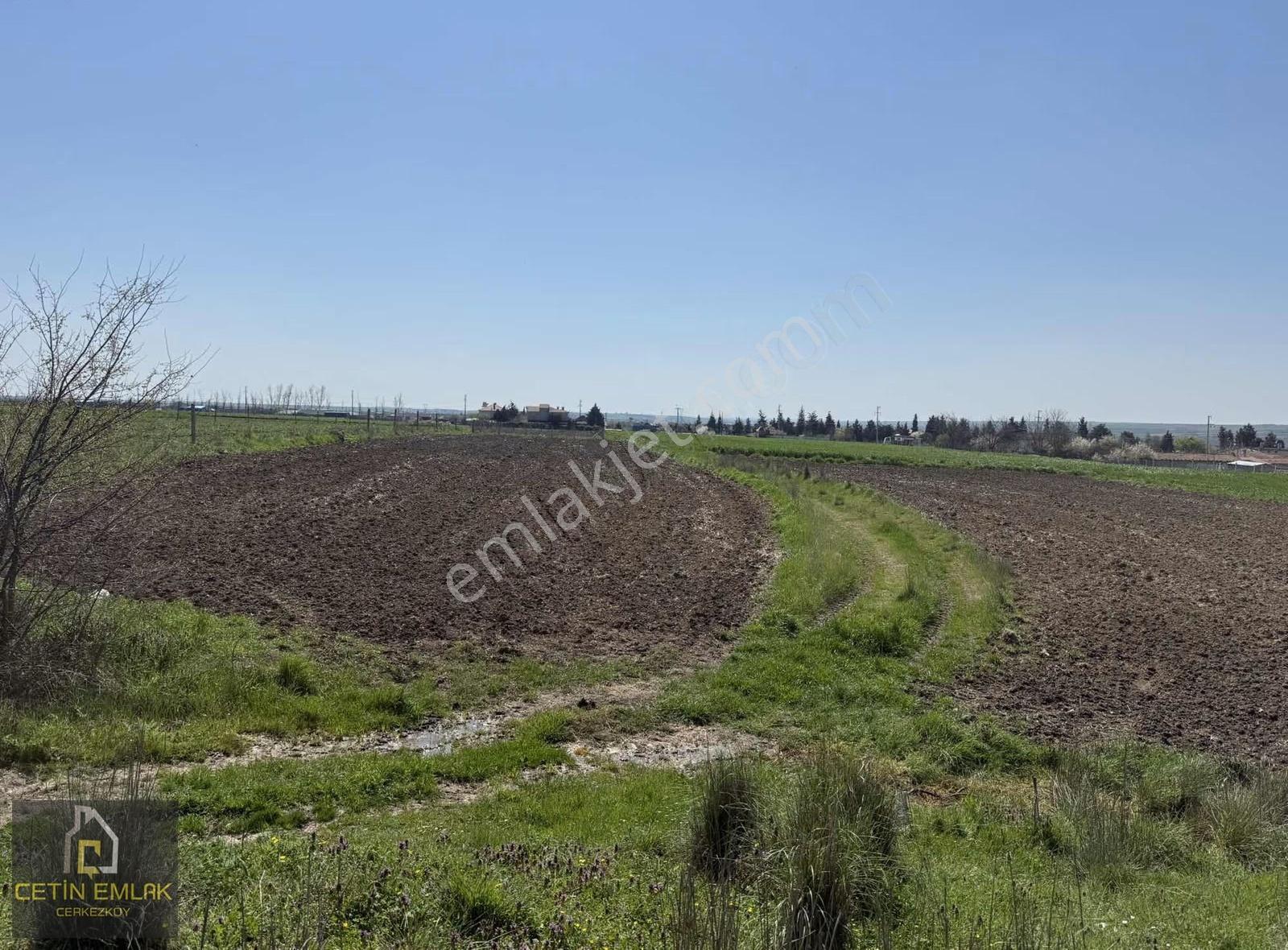 Çetin'den Çayla Mahallesi Köy Dibi İmar İçi 248m² Hisseli Tarla - Görsel 2
