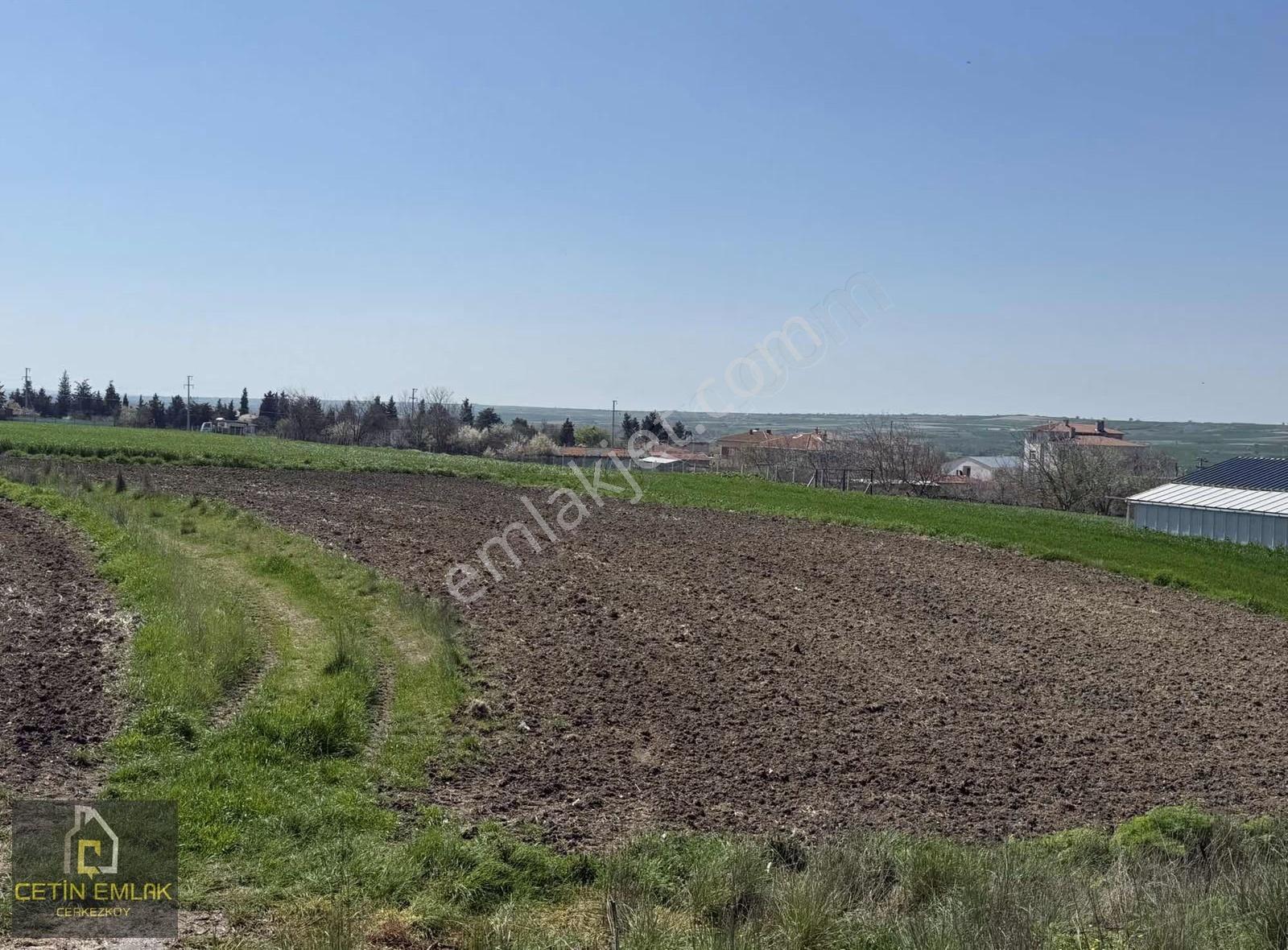 Çetin'den Çayla Mahallesi Köy Dibi İmar İçi 248m² Hisseli Tarla - Görsel 3