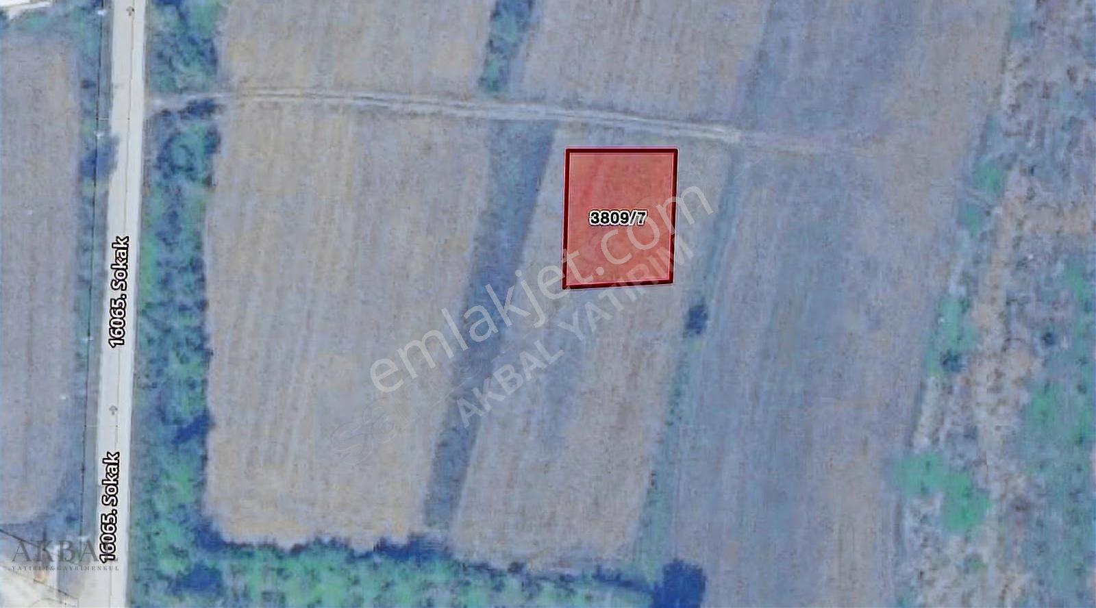 Düzce Merkez Yakını 521m² Konut İmarlı Acil Satılık Arsa - Görsel 5