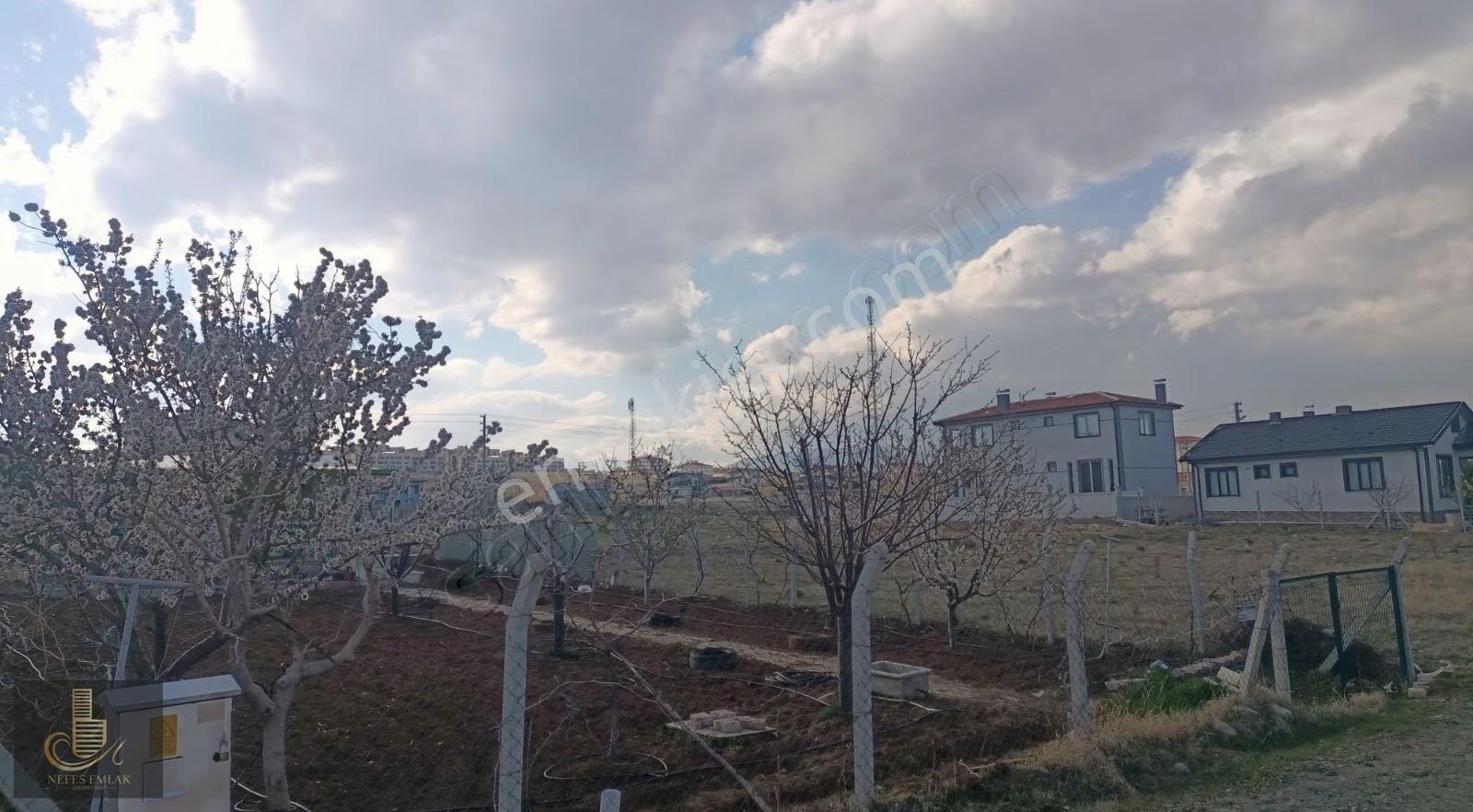 Meram Gödene De 2 Kata İmarlı Arsa - Görsel 8