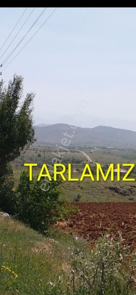 (ema) Takasa Açık, Binboğada .su Elektrik İçinde, Deki Arsa - Görsel 5