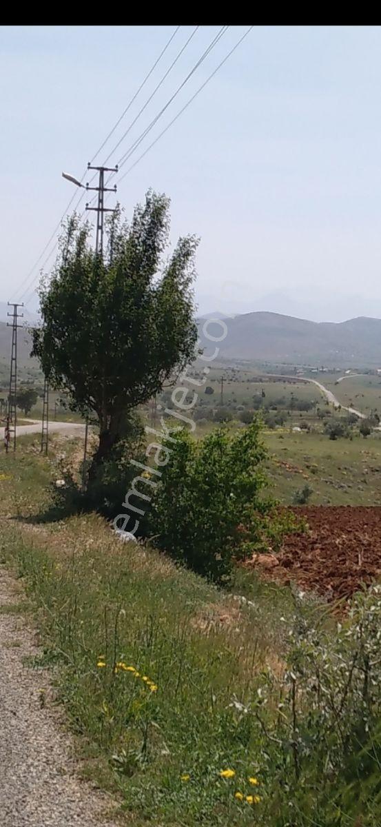 (ema) Takasa Açık, Binboğada .su Elektrik İçinde, Deki Arsa - Görsel 3