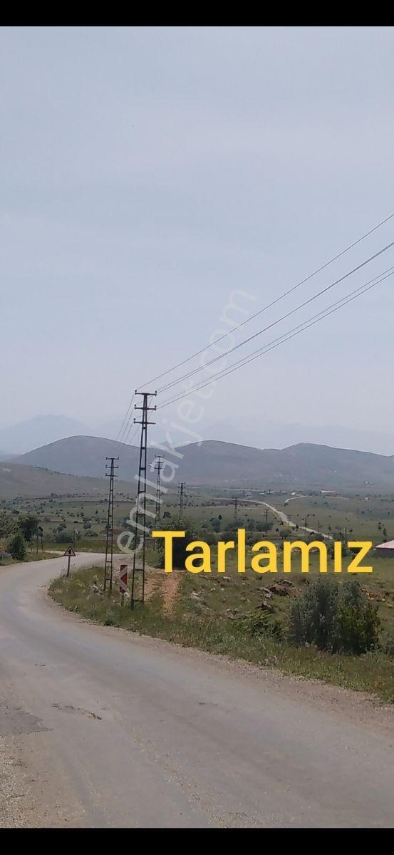 (ema) Takasa Açık, Binboğada .su Elektrik İçinde, Deki Arsa - Görsel 6