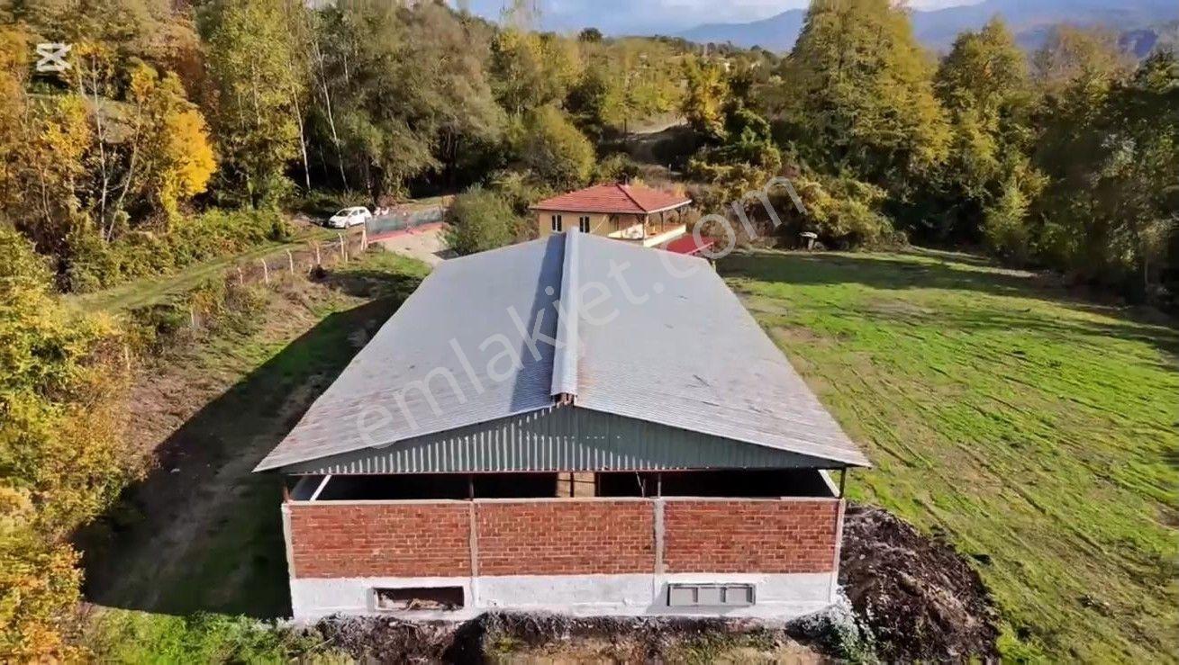 Remax Area'dan İnegöl'de Çiftlik Düzeni Kurulu Satılık Arazi - Görsel 5