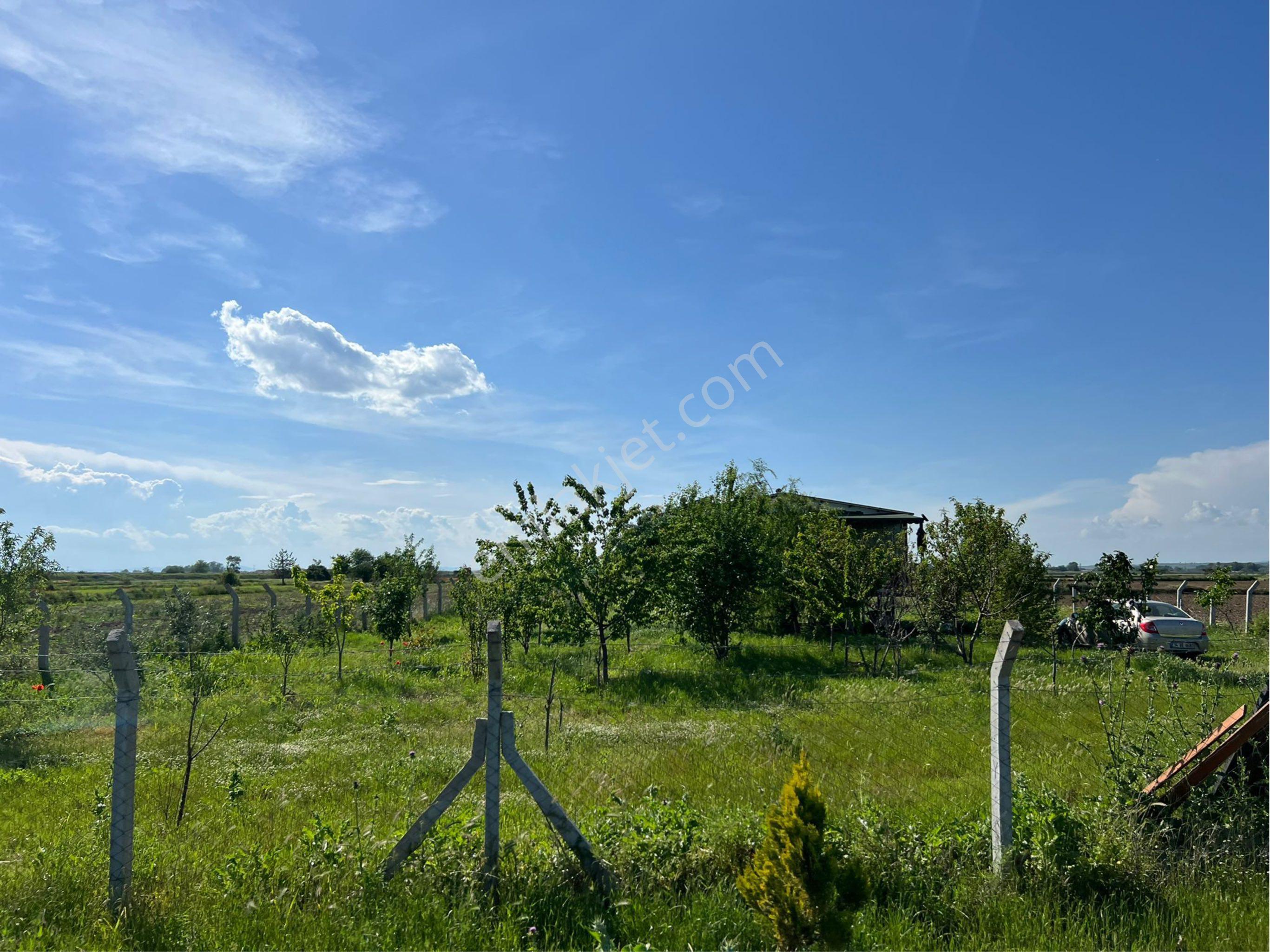 Edirne Bosnaköyde Satılık Tarla Ve Bağ Evi - Görsel 14
