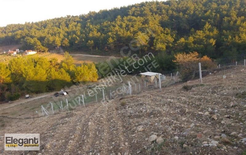 İzmir Belenbaşı 495 M2 Satılık Tarla - Görsel 2
