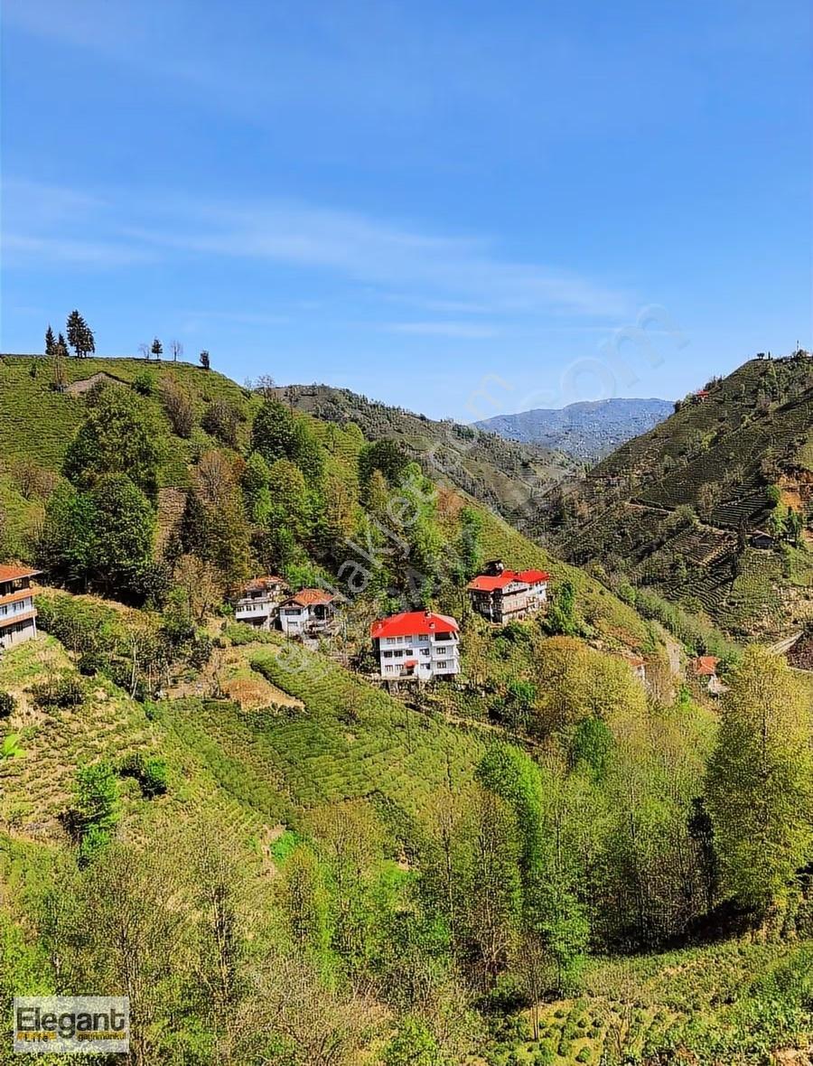 Elegant Life'dan Çayeli Büyükköy'de 5 Dönüm Satılık Arazi - Görsel 9