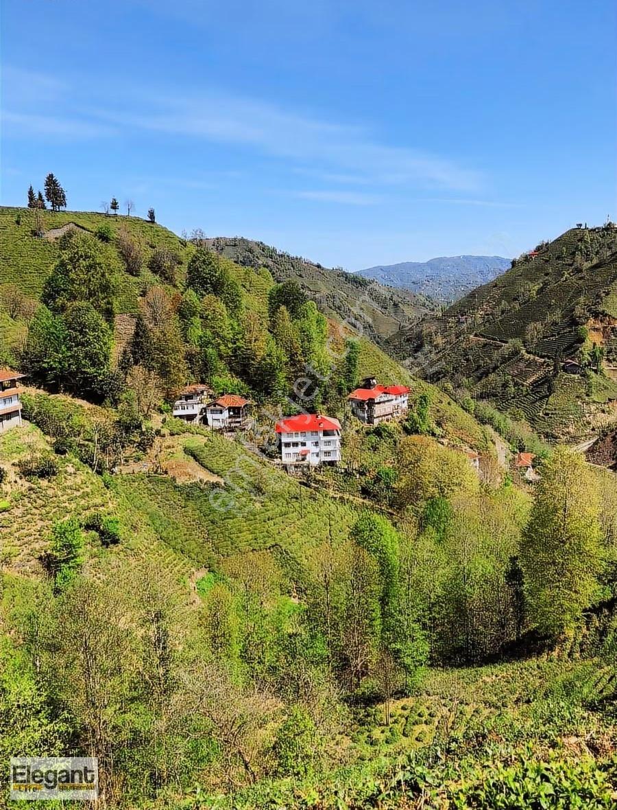 Elegant Life'dan Çayeli Büyükköy'de 1250 M2 Satılık Arazi - Görsel 7