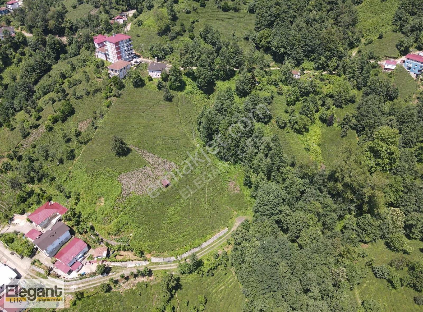 Elegant Life'dan Derepazarı'nda 10.000 M2 Satılık Arsa - Görsel 5