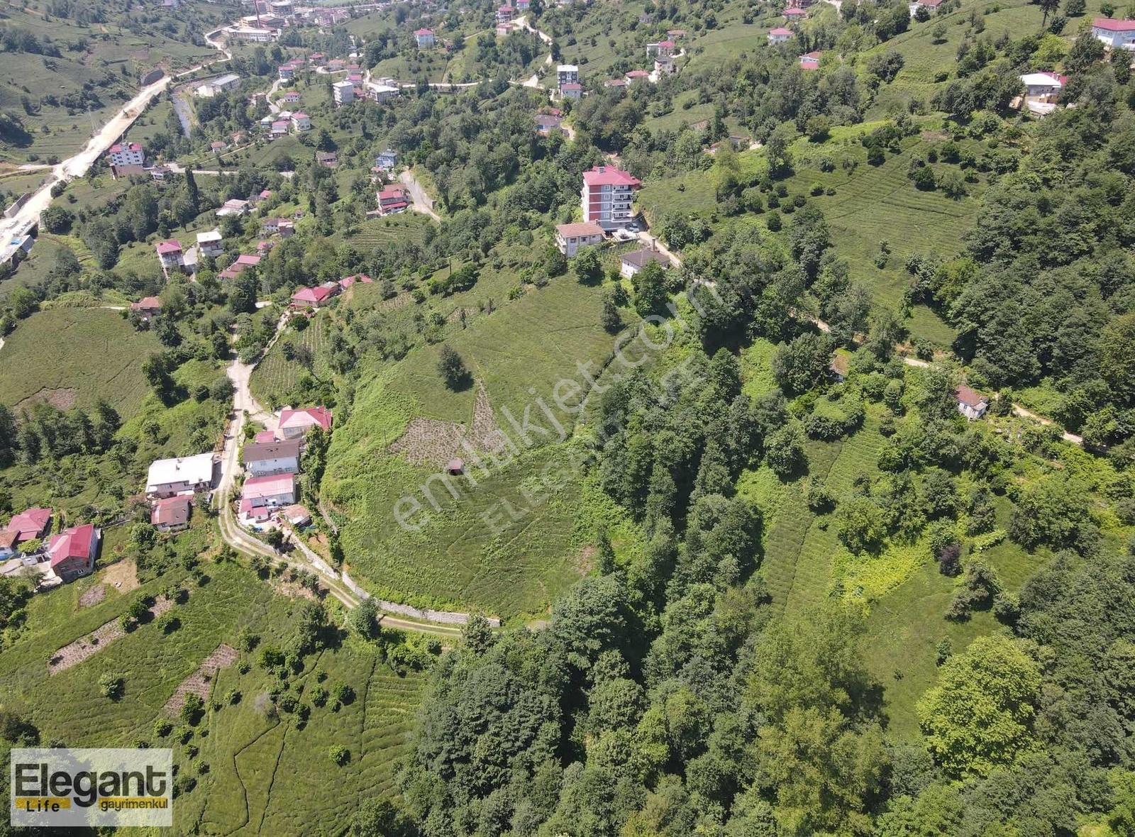 Elegant Life'dan Derepazarı'nda 10.000 M2 Satılık Arsa - Görsel 2