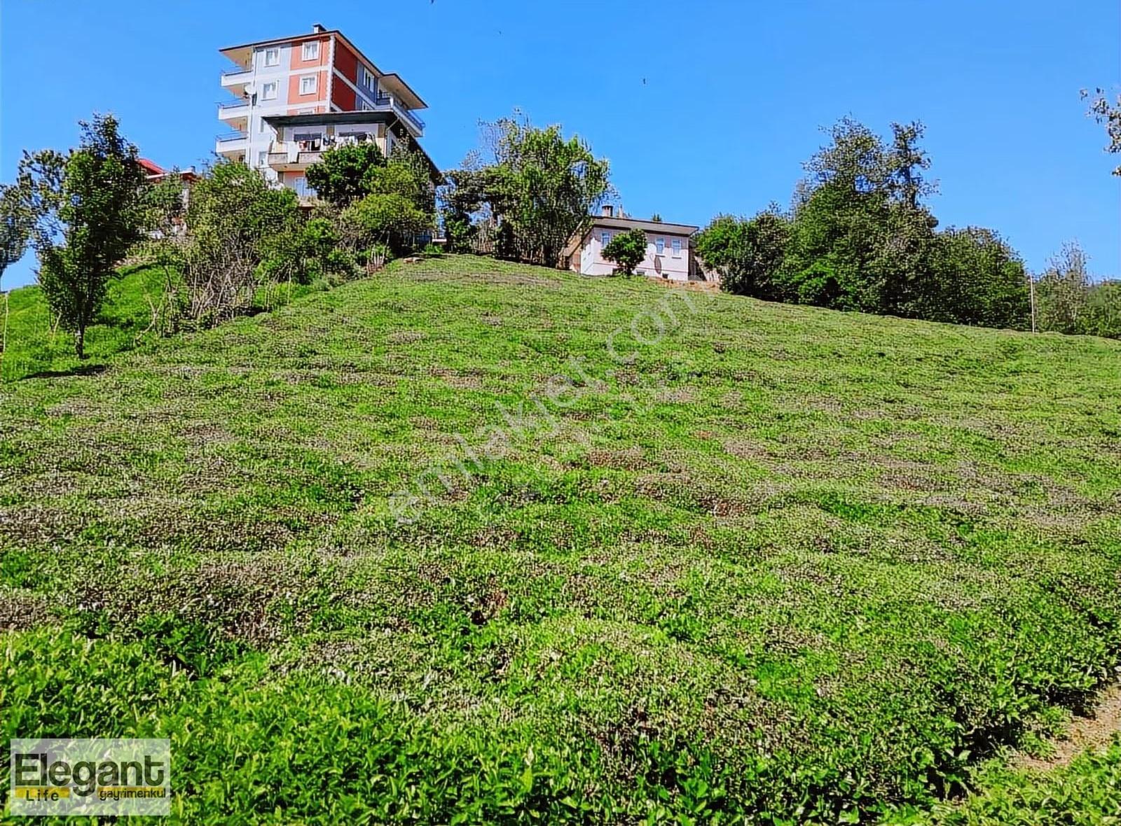 Elegant Life'dan Derepazarı'nda 10.000 M2 Satılık Arsa - Görsel 13