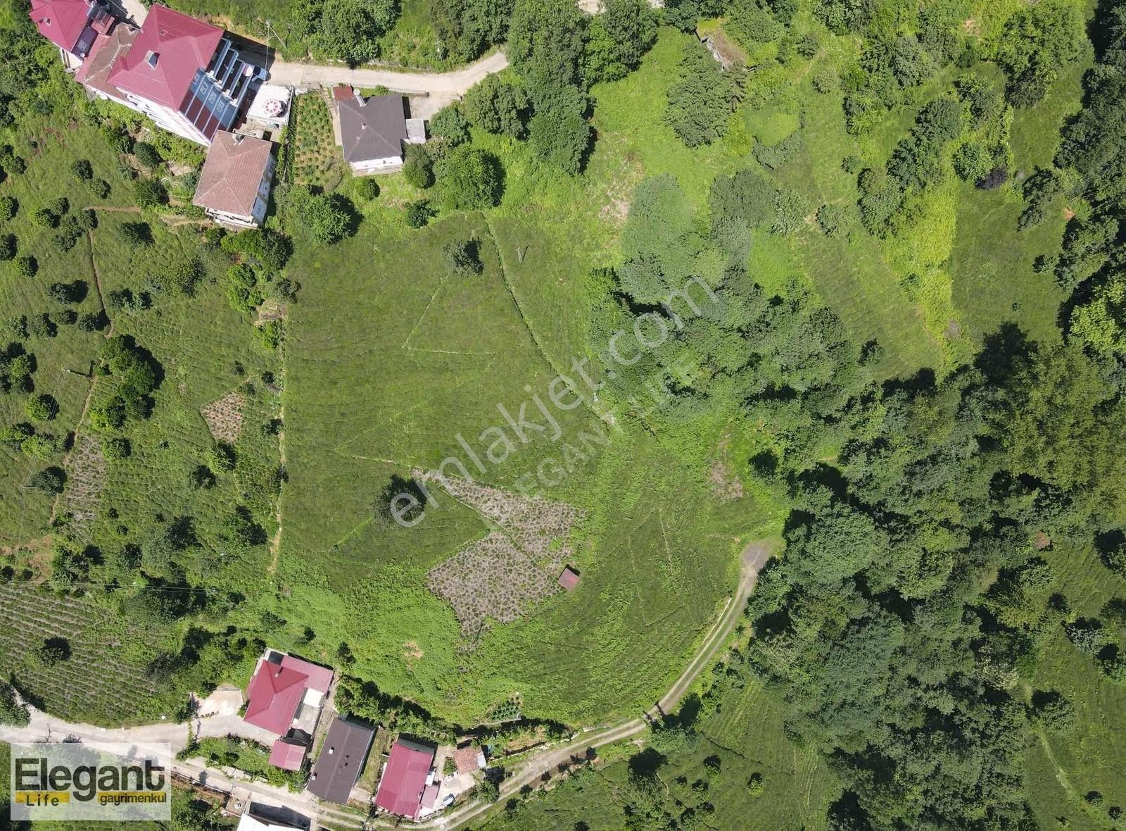 Elegant Life'dan Derepazarı'nda 10.000 M2 Satılık Arsa - Görsel 14