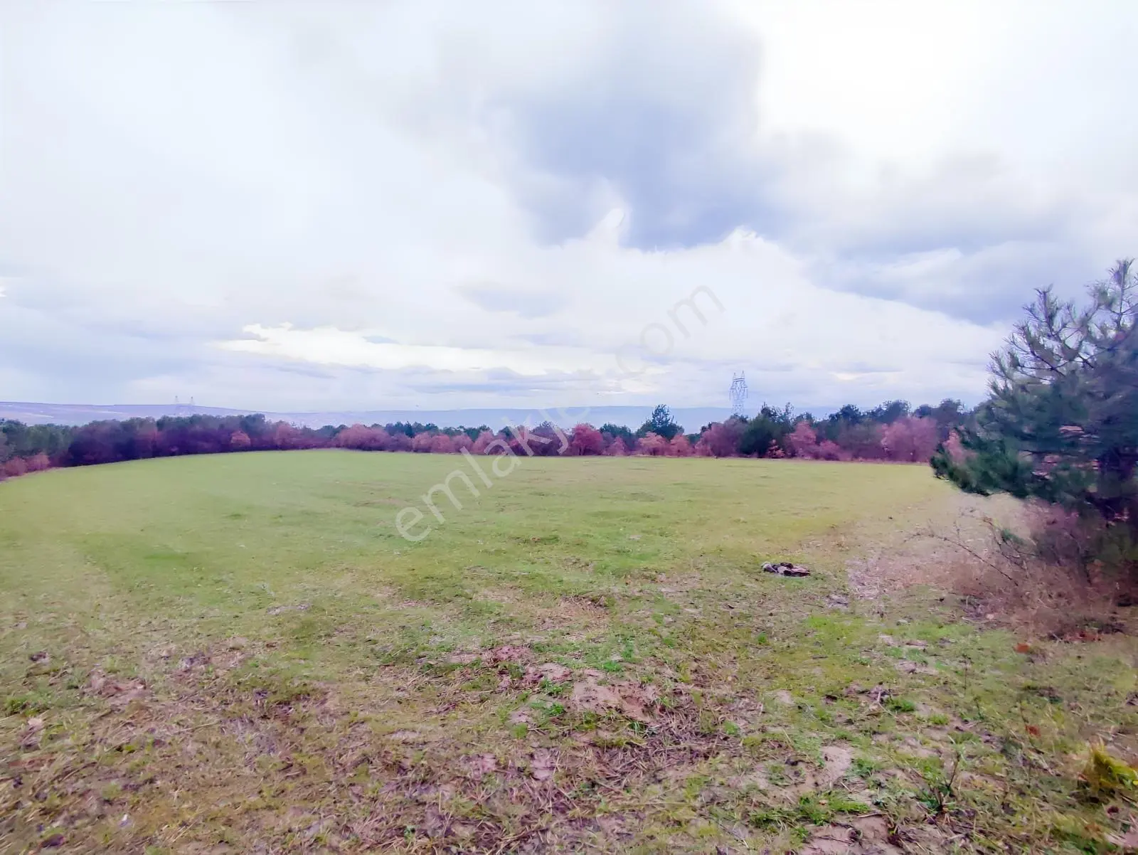 Remax Leon İnegöl Yeniceköy İmarın Dibinde 9700 M2 Tarla
