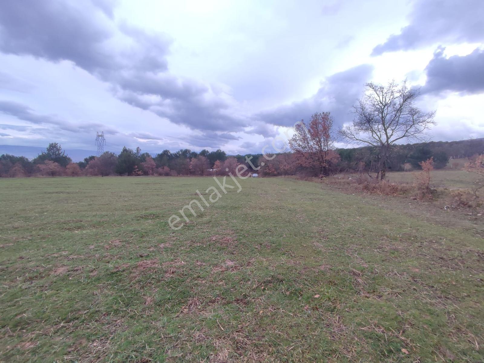 Remax Leon İnegöl Yeniceköy İmarın Dibinde 9700 M2 Tarla - Görsel 12