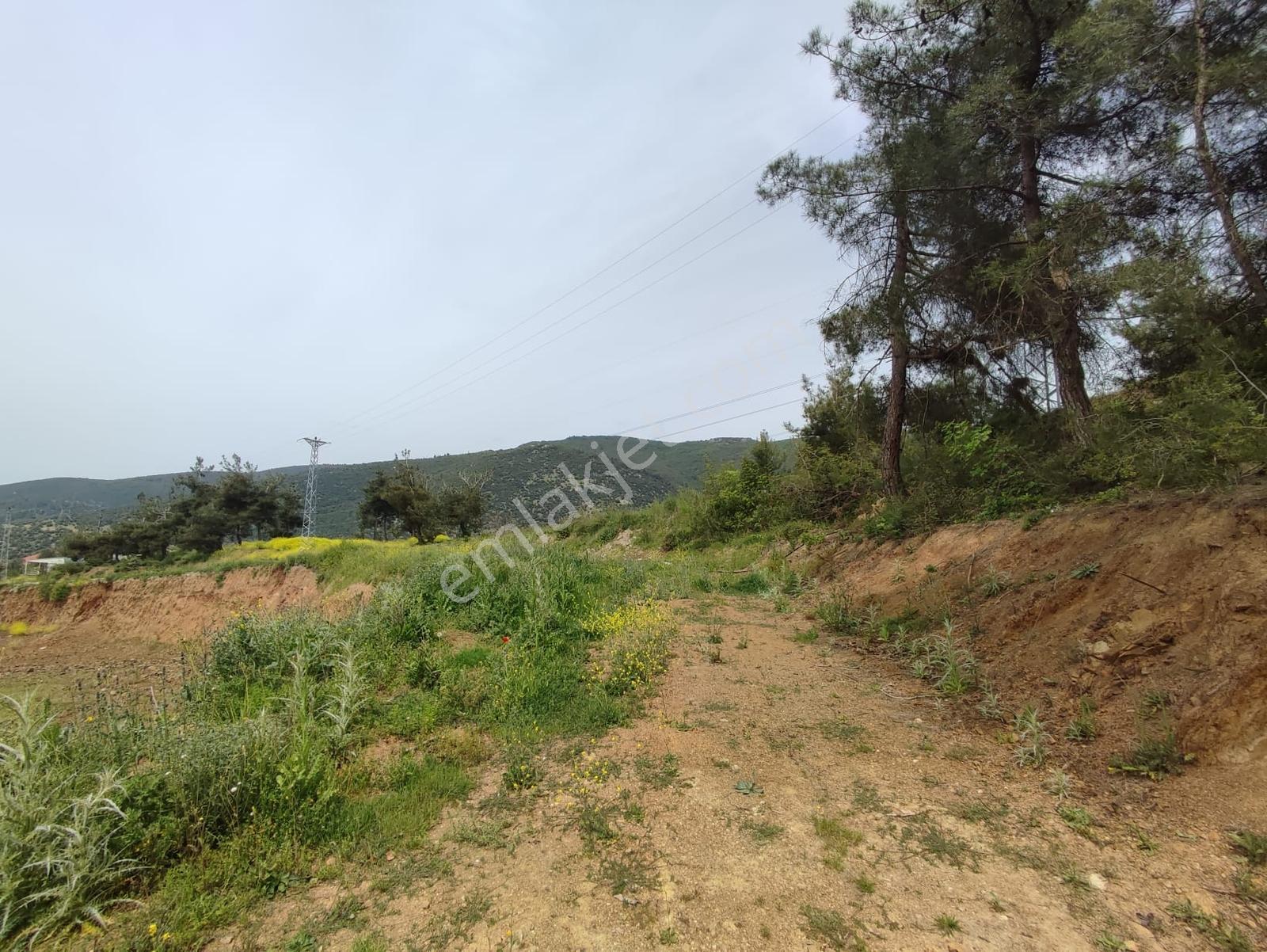 Remax Leon Acil Satılık Göl Manzaralı Doğa Harikası - Görsel 13