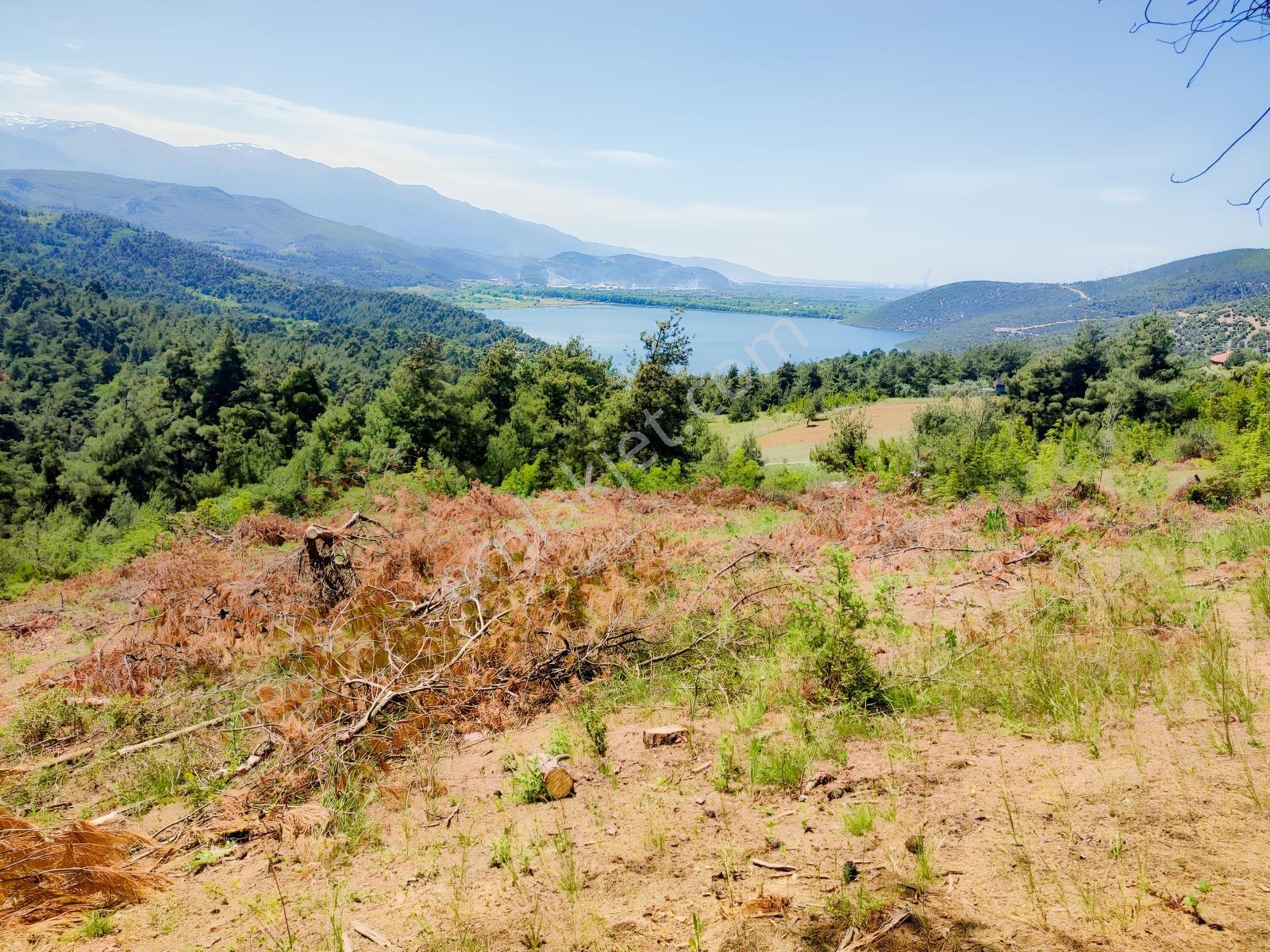 Remax Leon Acil Satılık Göl Manzaralı Doğa Harikası - Görsel 2