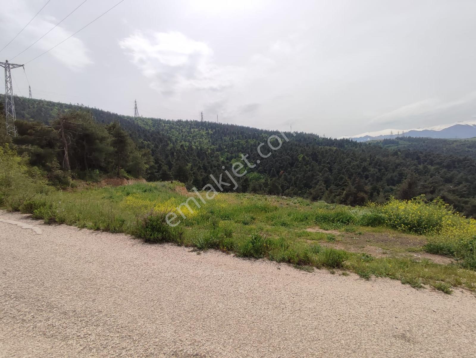 Remax Leon Acil Satılık Göl Manzaralı Doğa Harikası - Görsel 8