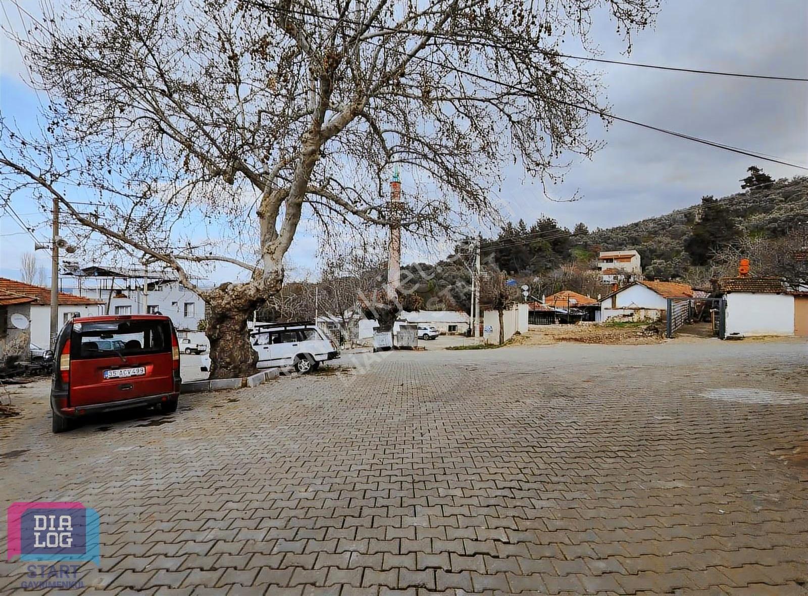 Kemalpaşa Bağyurdunda 1302 M² Müstakil Tapulu Kiraz Bahçesi - Görsel 20