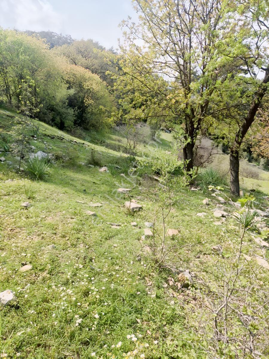 Müstakil Tapulu Satılık Fırsat Arazi - Görsel 4