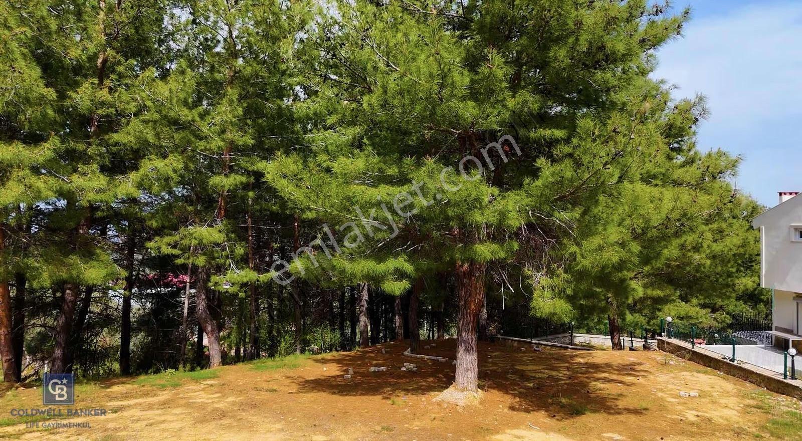 Kemalpaşa Aşağıkızılca'da 1052 M2 Villa İmarlı Arsa - Görsel 2