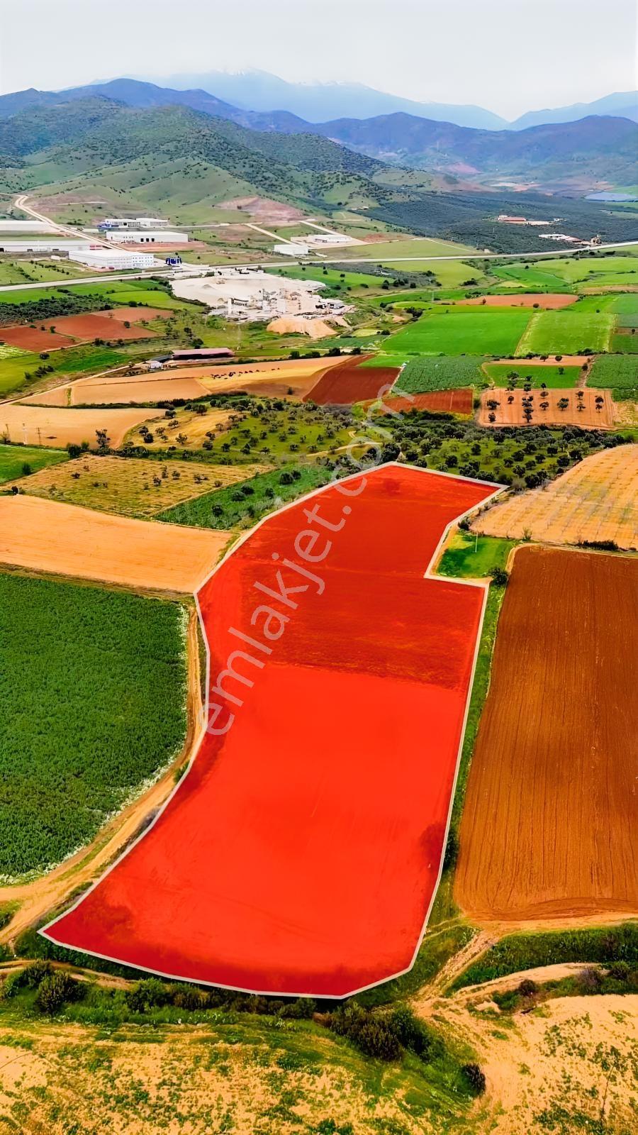 Ödemiş Orhangazi'de 19.000 M2 Tek Tapu Satılık Tarla - Görsel 3