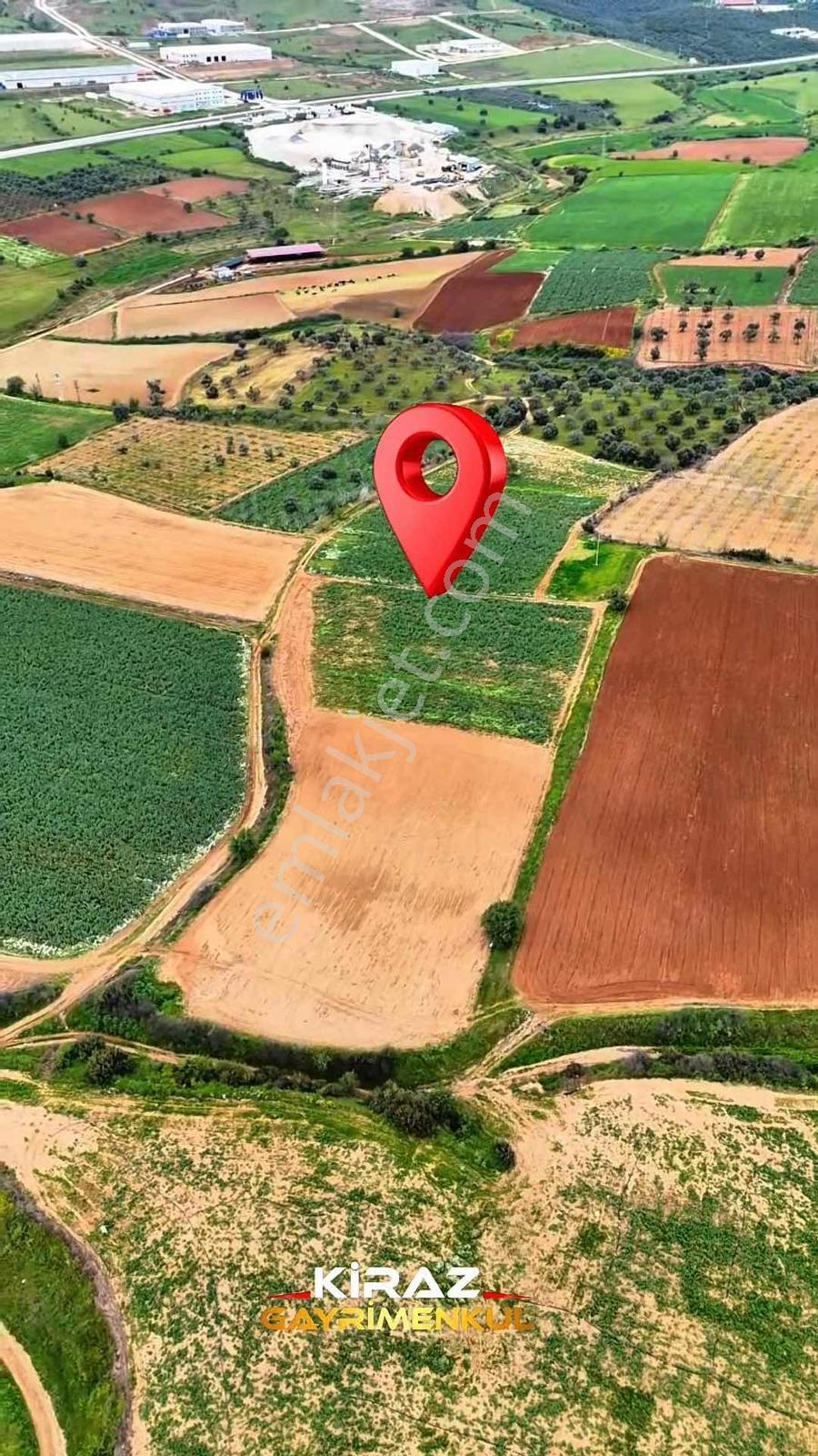 Ödemiş Orhangazi'de 19.000 M2 Tek Tapu Satılık Tarla
