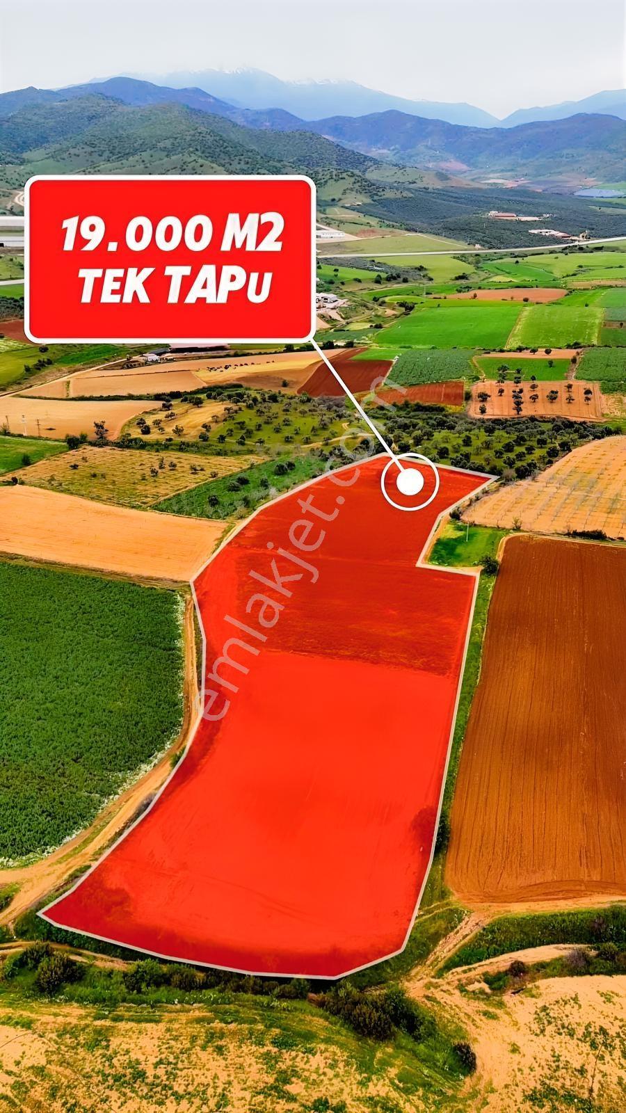 Ödemiş Orhangazi'de 19.000 M2 Tek Tapu Satılık Tarla - Görsel 2