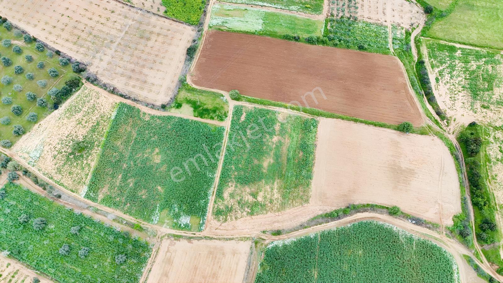 Ödemiş Orhangazi'de 19.000 M2 Tek Tapu Satılık Tarla - Görsel 6