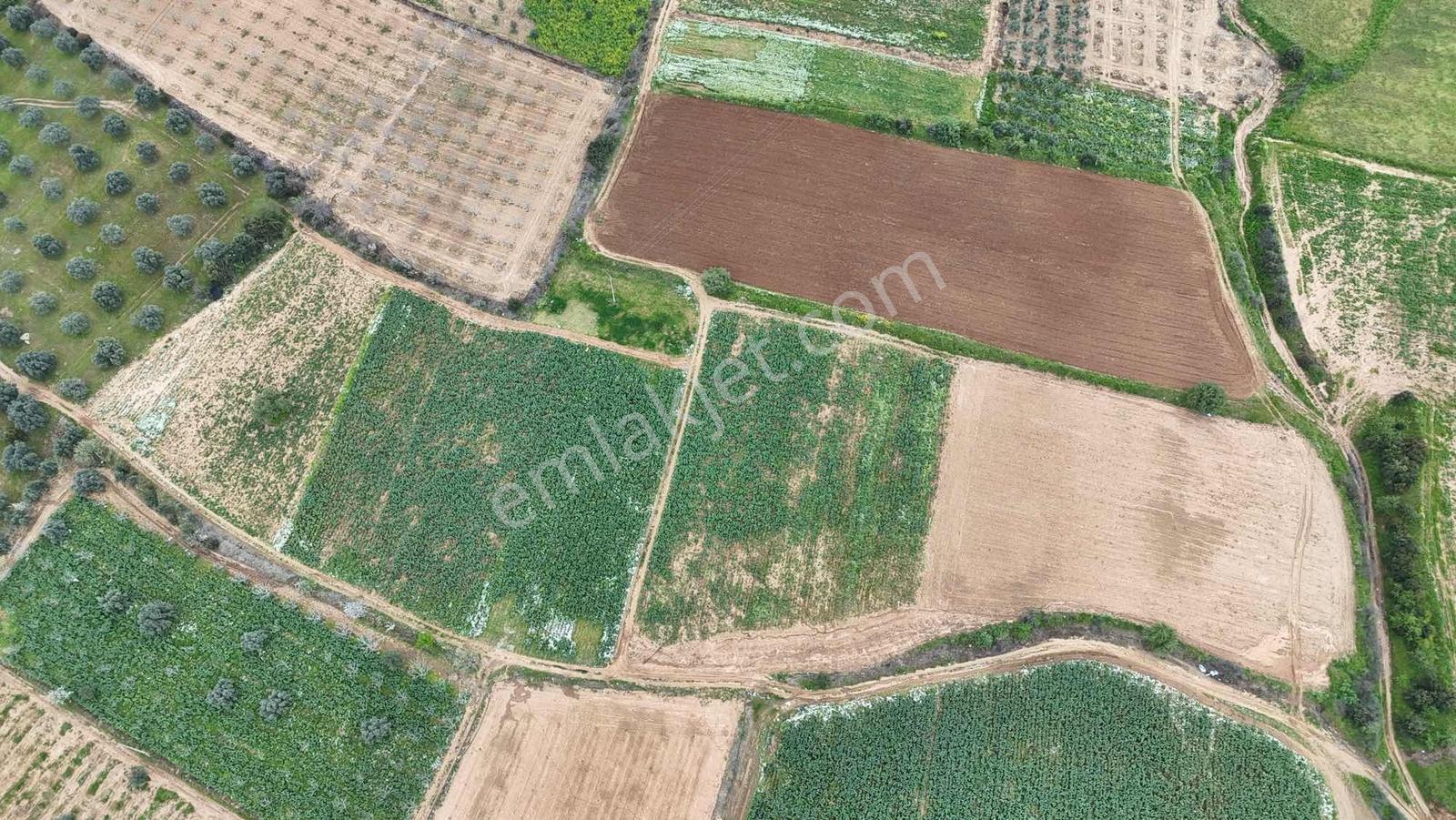 Ödemiş Orhangazi'de 19.000 M2 Tek Tapu Satılık Tarla - Görsel 7