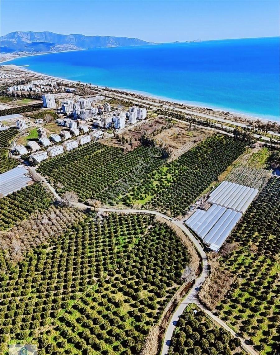 Truva Prime G.y.o Finike Hasyurt Da Satılık Arsa - Görsel 18
