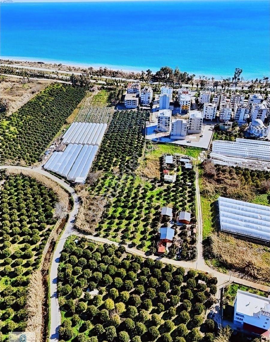 Truva Prime G.y.o Finike Hasyurt Da Satılık Arsa - Görsel 30