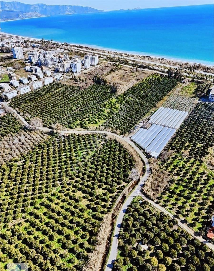 Truva Prime G.y.o Finike Hasyurt Da Satılık Arsa - Görsel 20