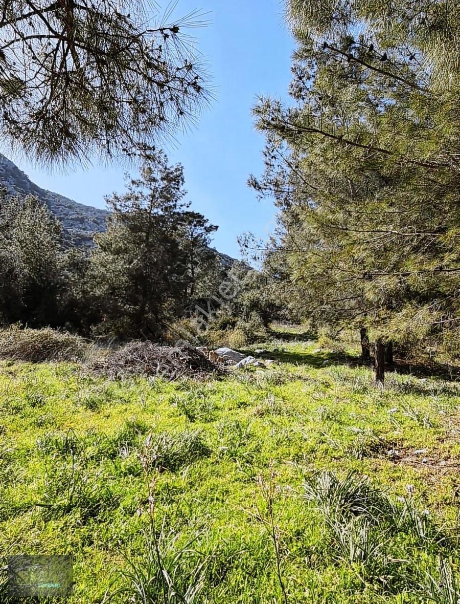Adrasan Merkezde Deniz Yolunda İmarlı Arsa - Görsel 32