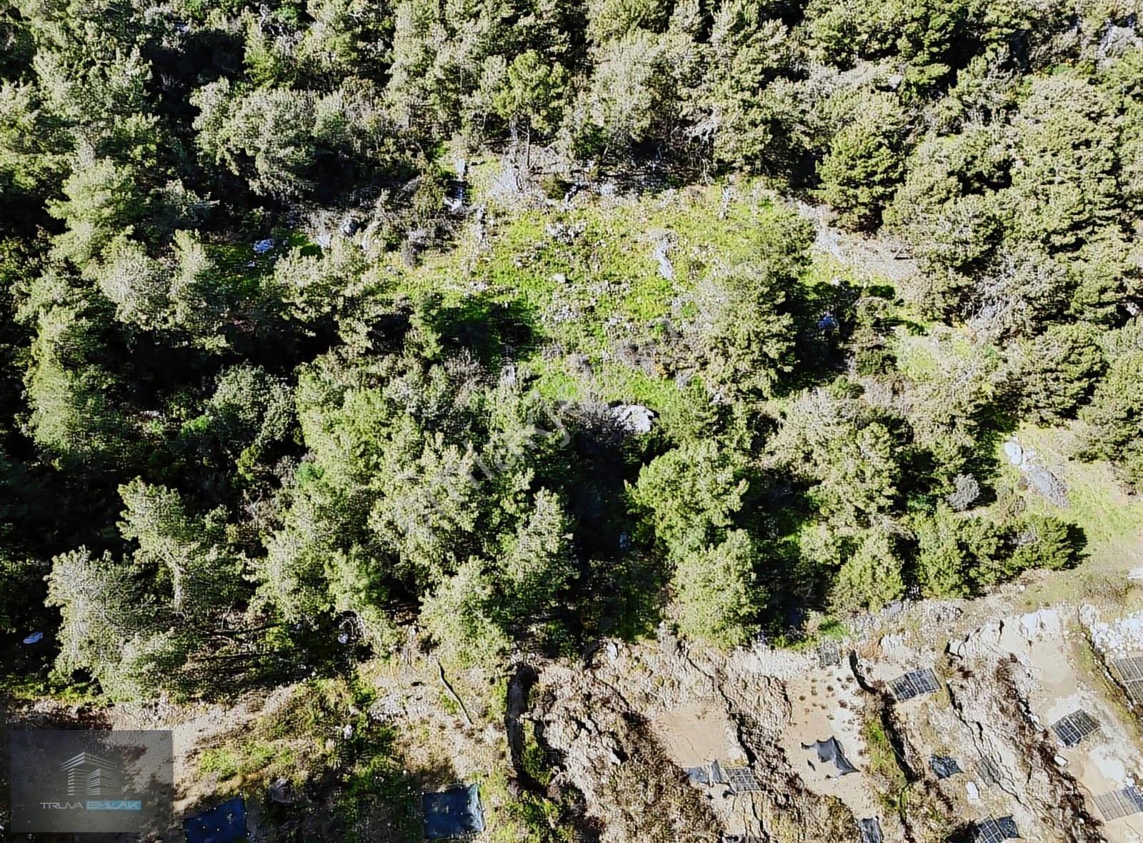 Adrasan Merkezde Deniz Yolunda İmarlı Arsa - Görsel 5
