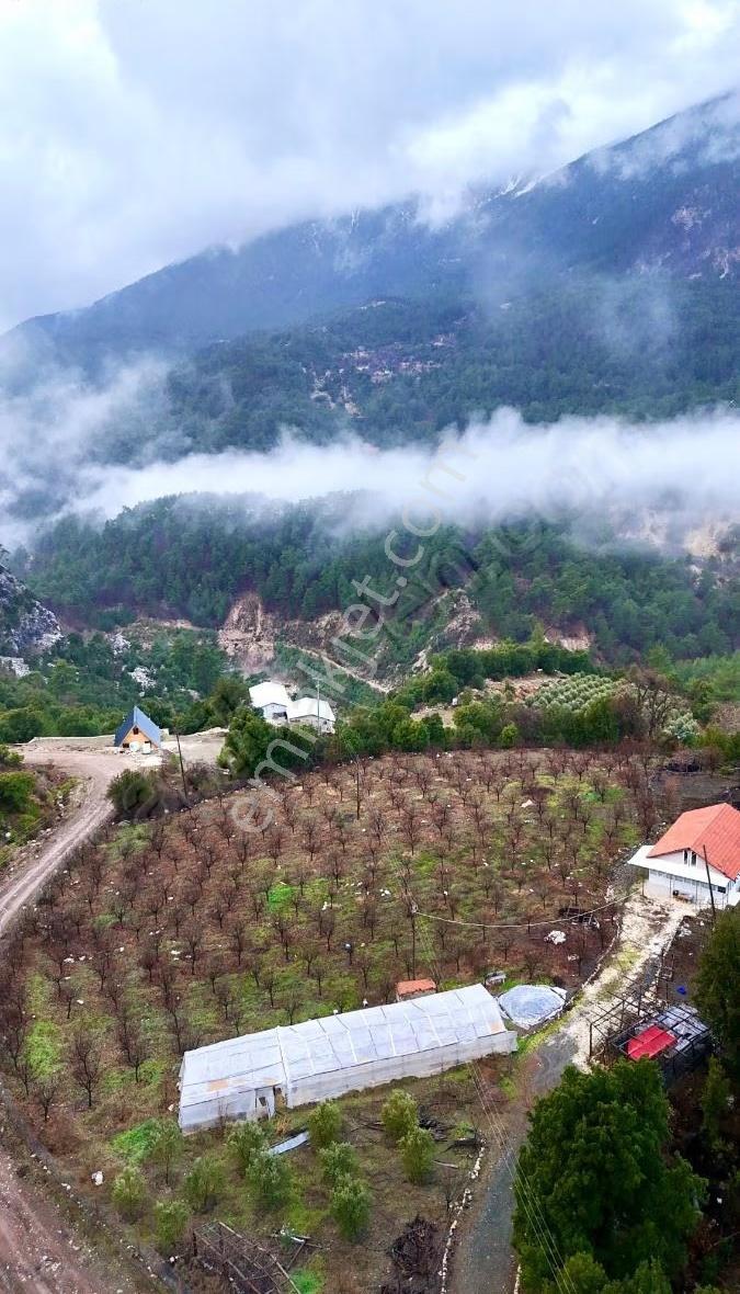 Kumluca Kuzca Köyü Mükemmel Konumda Satılık Tarla - Görsel 10