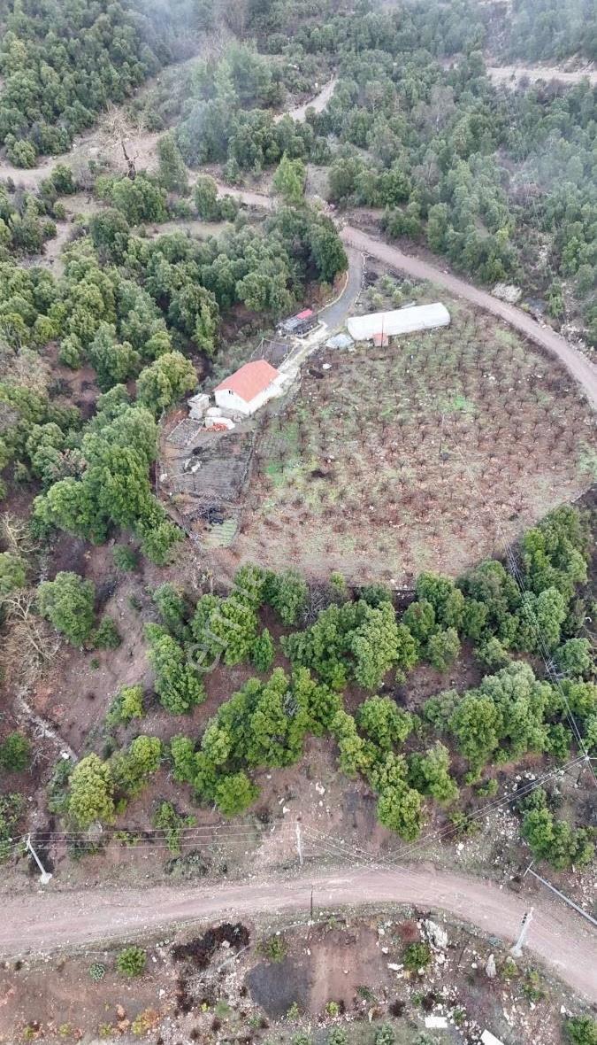 Kumluca Kuzca Köyü Mükemmel Konumda Satılık Tarla - Görsel 17